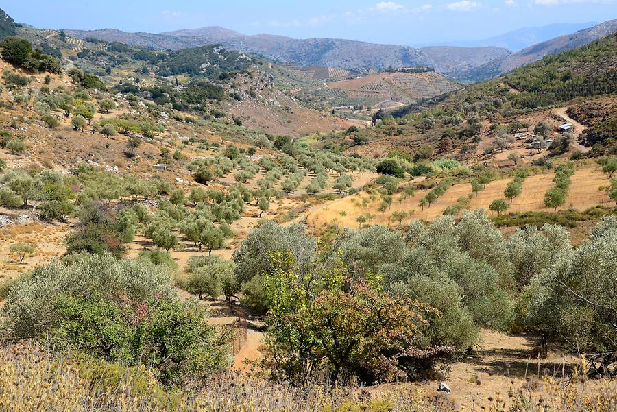 Lasithi Plateau