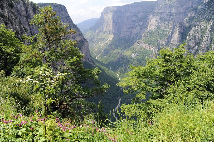 Vikos Canyon