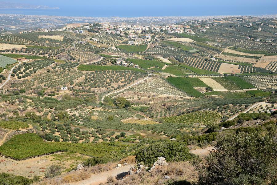 Landscape near Heraklion