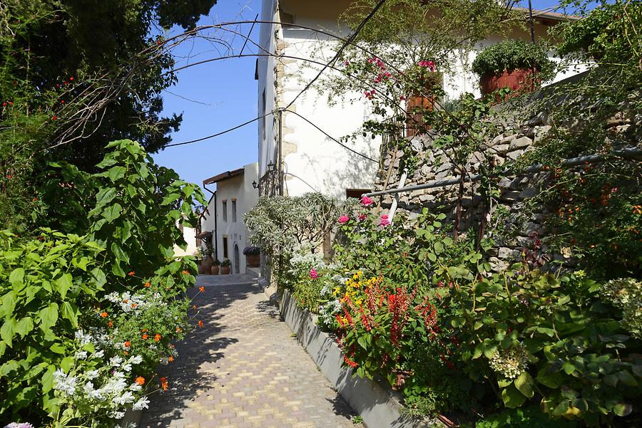 Monastery of Savanthiana - Garden