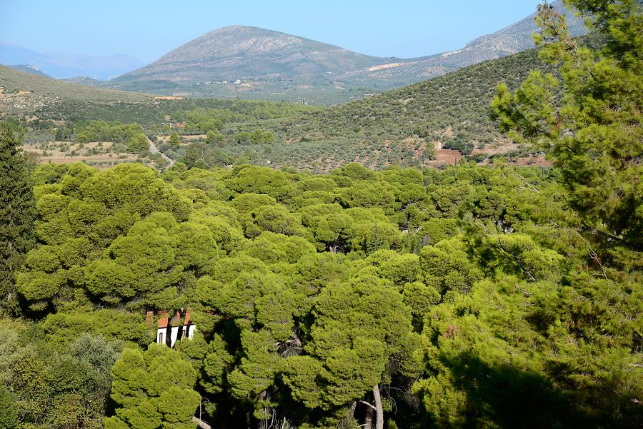 Landscape at Epidaurus