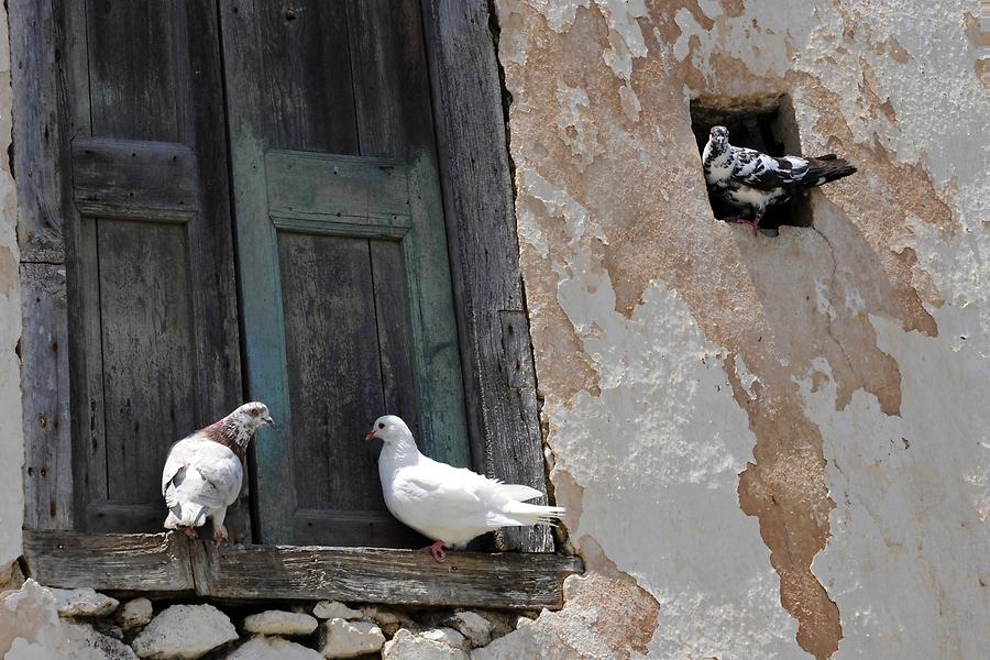 Chalki -Dovecote