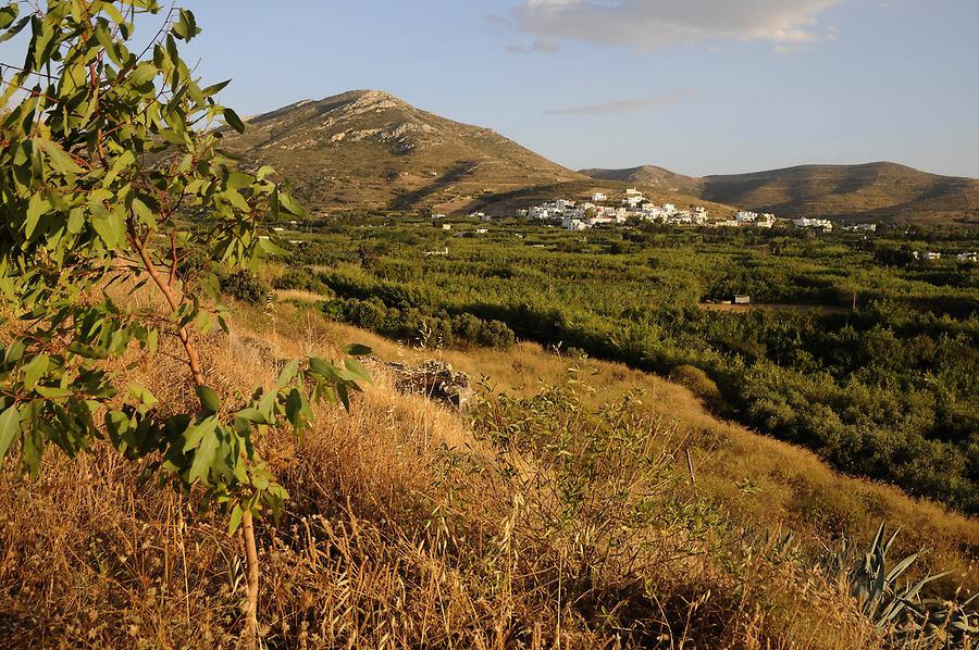 Landscape near Engares