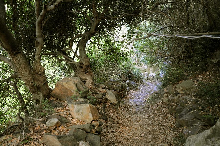 Monastery of Agia