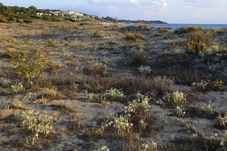 Dunes of Loutra Killinis