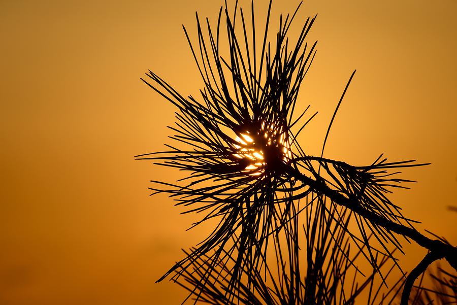 Sunset at Loutra Killinis