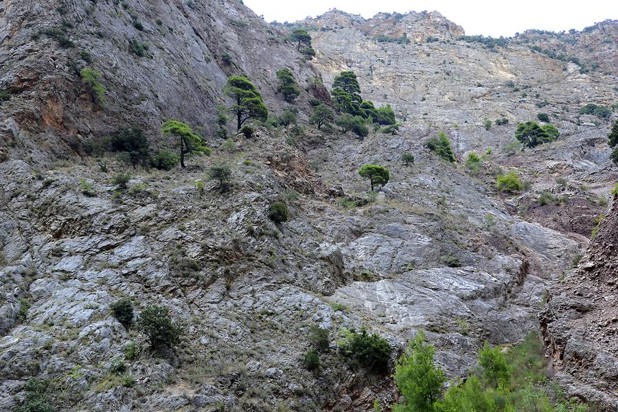 Train Ride to Kalavryta