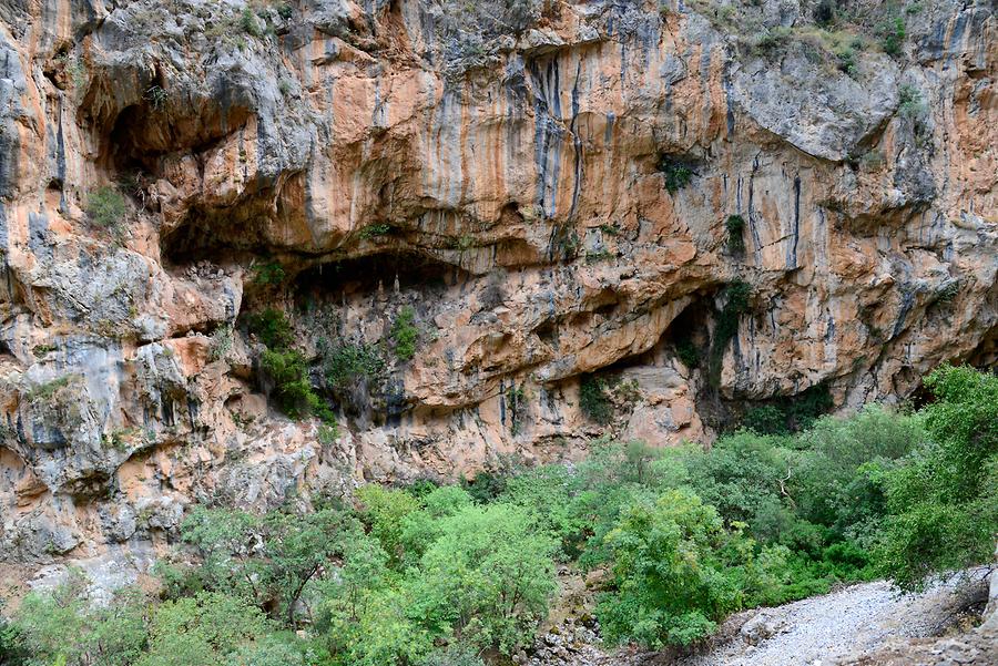 Train Ride to Kalavryta