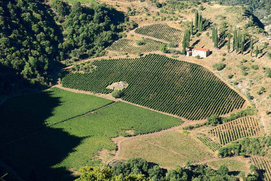 Vouraikos Valley