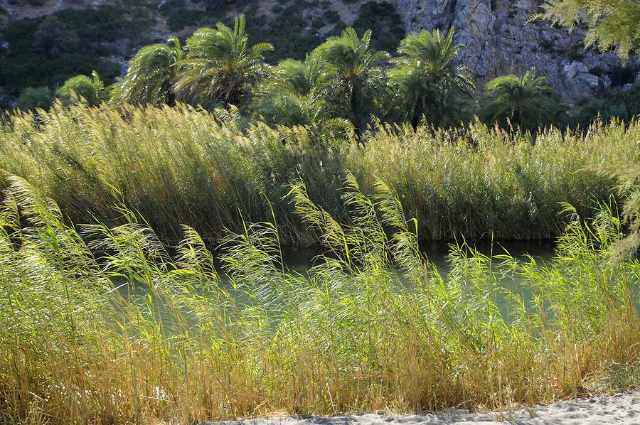 Preveli Beach - Canyon