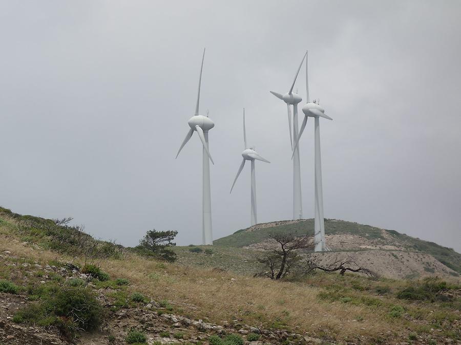 Wind generation plant
