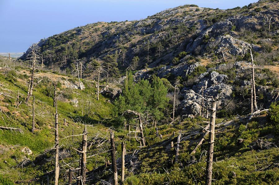 Ascent to Profitis Ilias