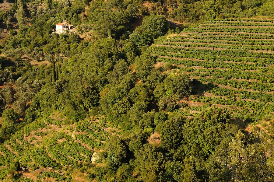 Landscape near Manolates