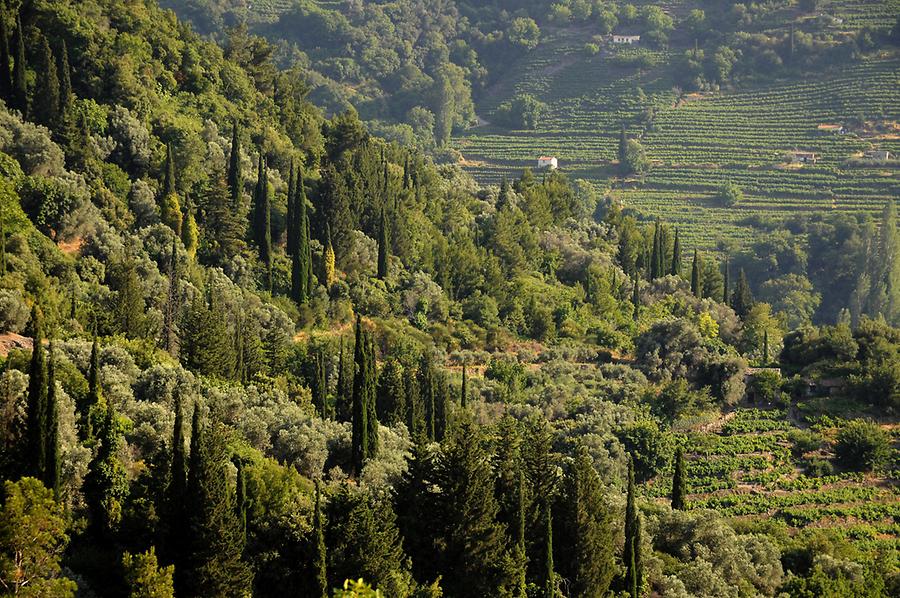 Landscape near Manolates