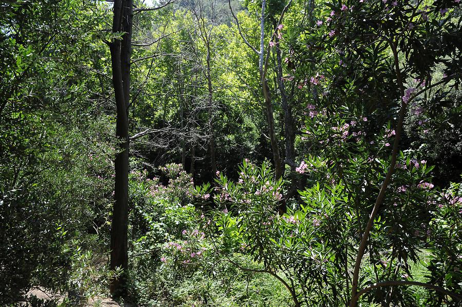 Landscape near Potami