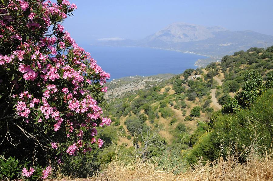 Landscape near Spatharei