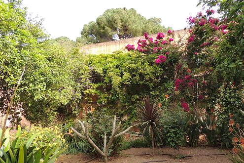Monastery garden 2