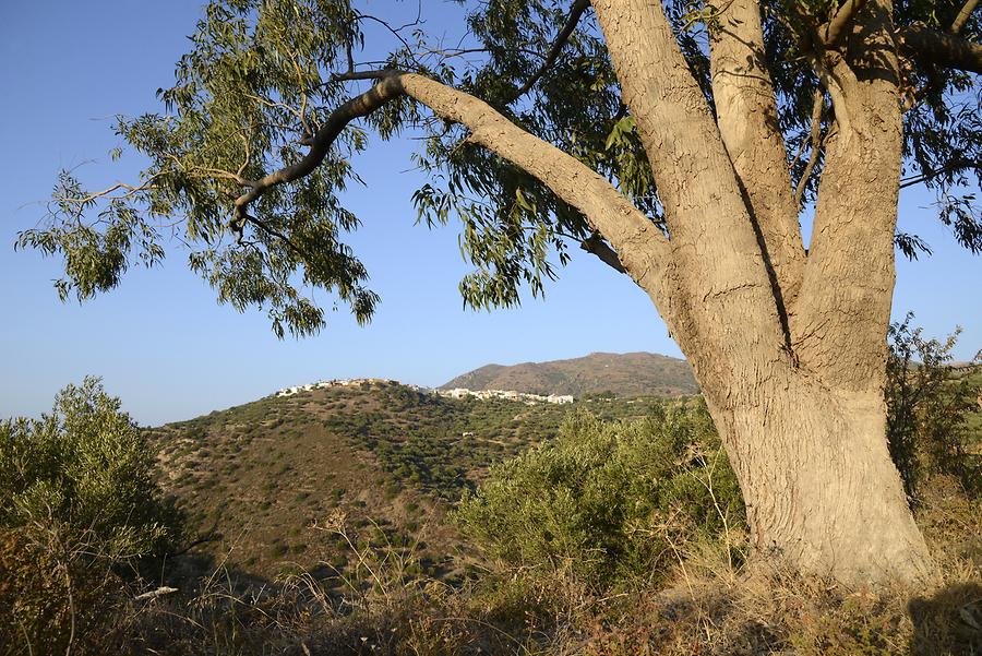 Landscape near Mithi