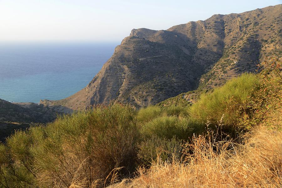 Landscape near Mithi