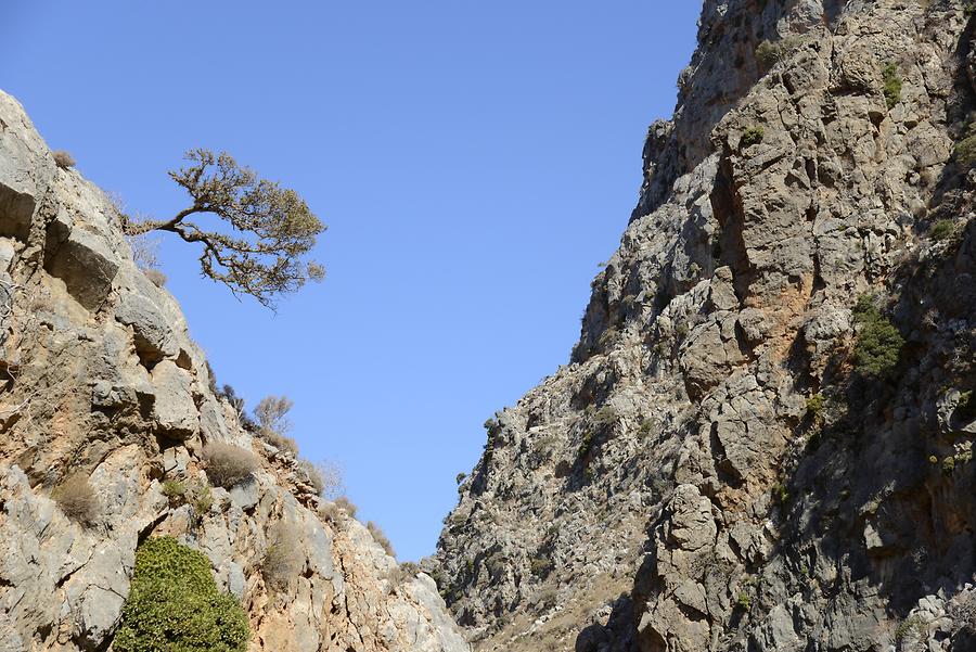 Zakros Gorge (Valley of the Dead)