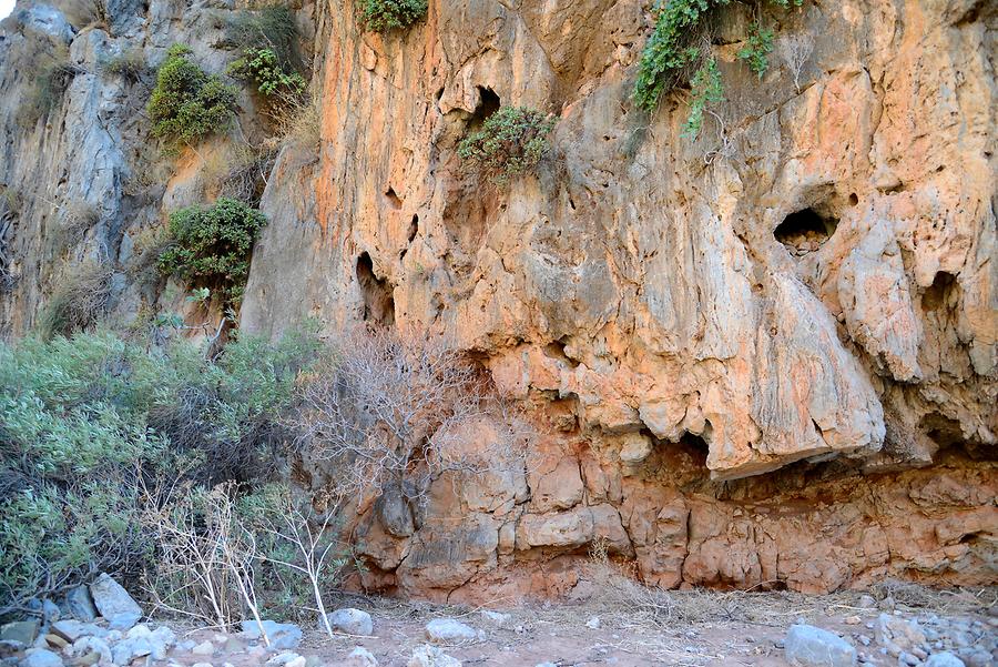 Zakros Gorge (Valley of the Dead)