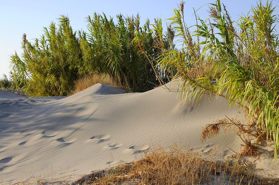 Elafonisi - Sand Dunes