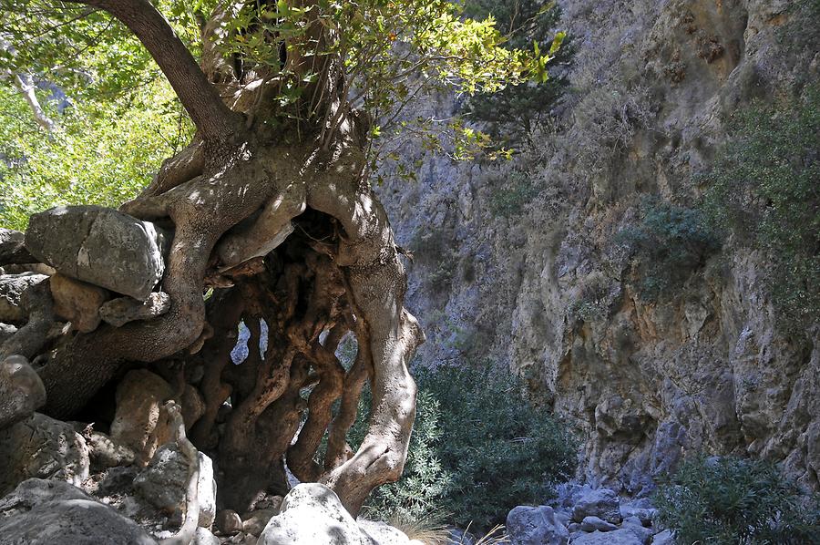 Agia Eirini Gorge