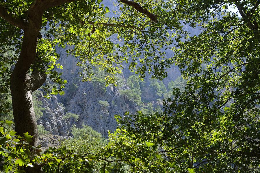 Agia Eirini Gorge