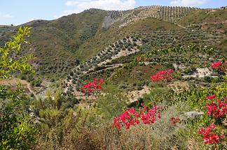 Landscape near Maleme