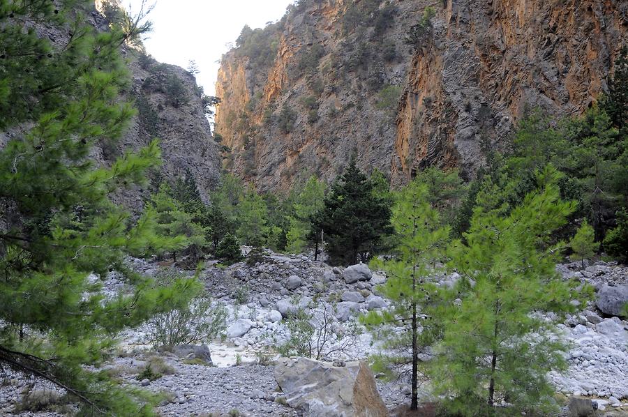 Samariá Gorge