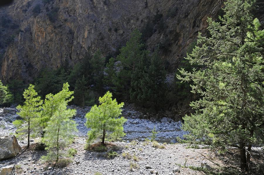 Samariá Gorge