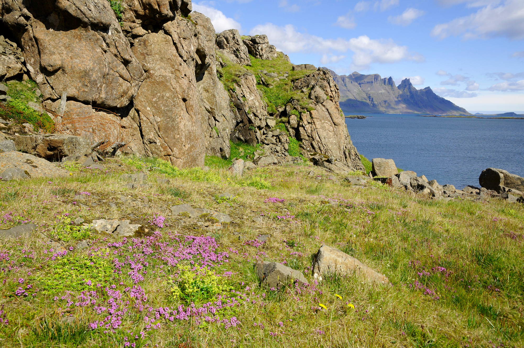 Reydarfjördur (1) Iceland's East Pictures Geography im AustriaForum