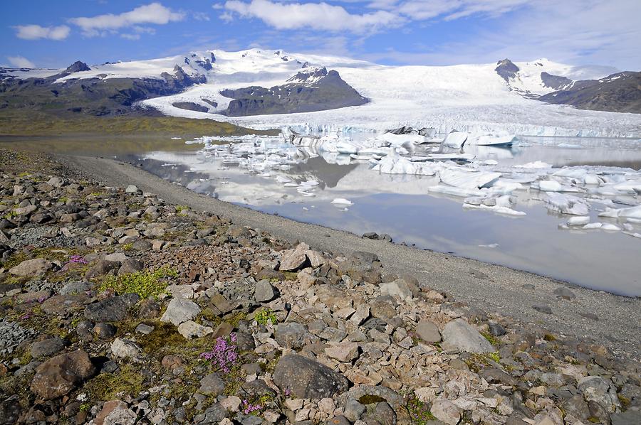 Fjallsjökull