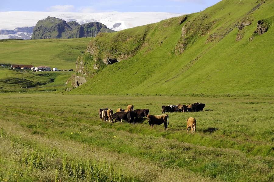 Myrdalsjökull