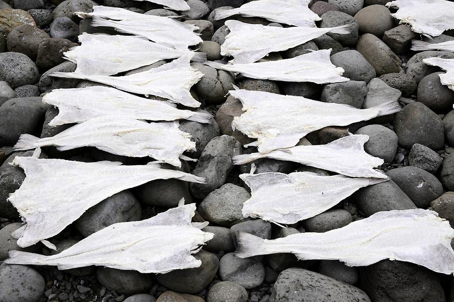 Dried Fish