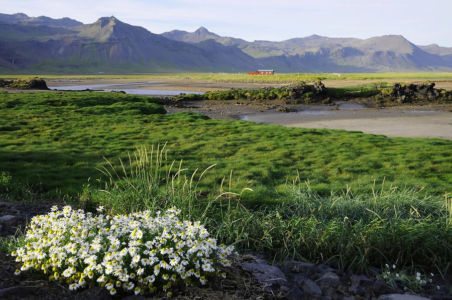 Landscape near Budir