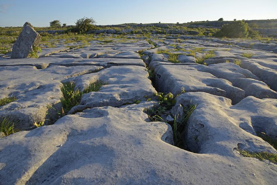 Burren - Karst