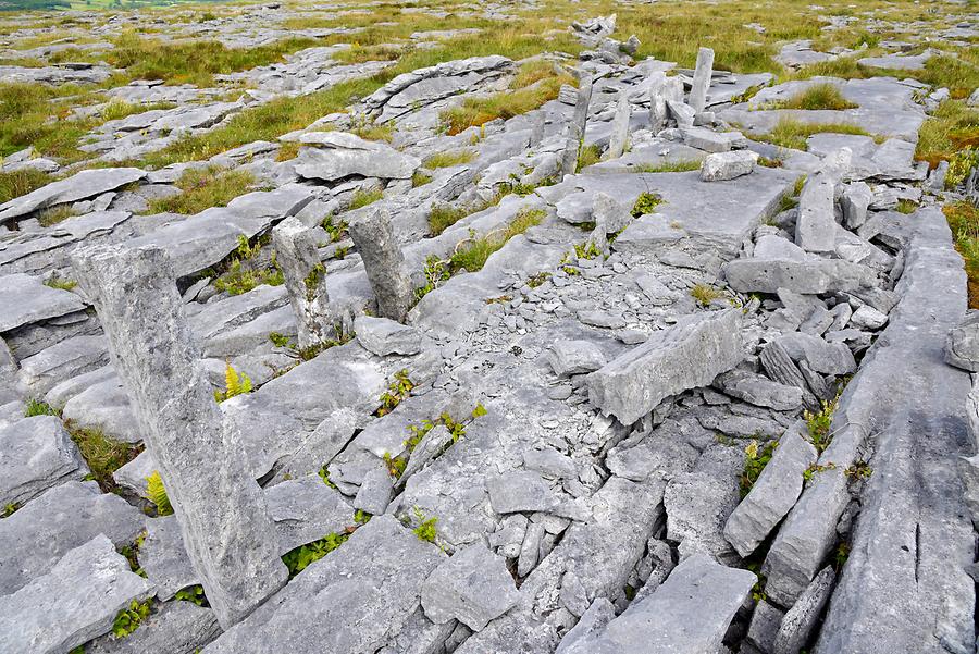 Burren - Karst