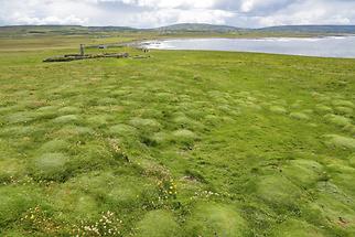 Downpatrick Head (1)