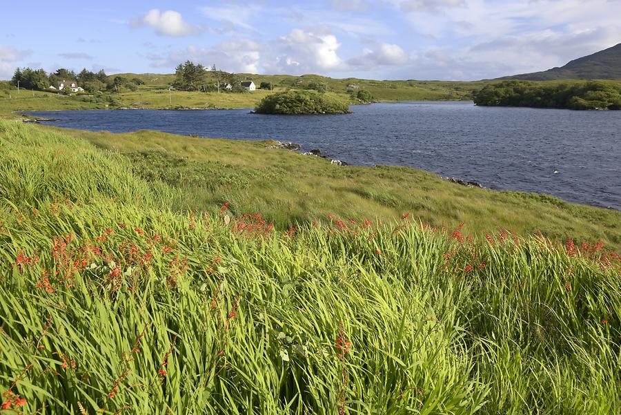 Connemara