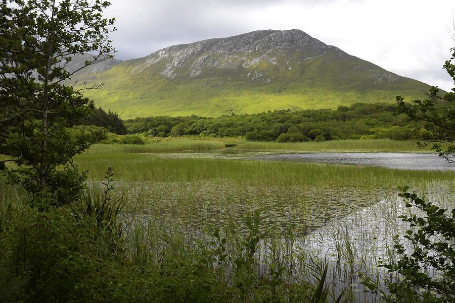 Connemara