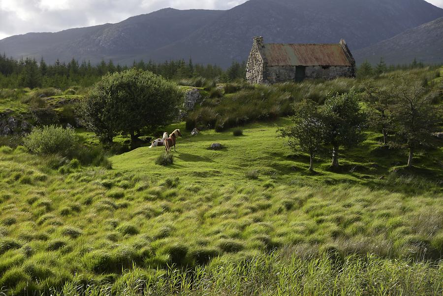 Connemara