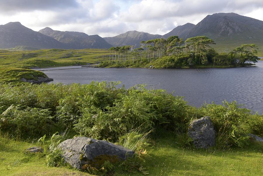 Connemara