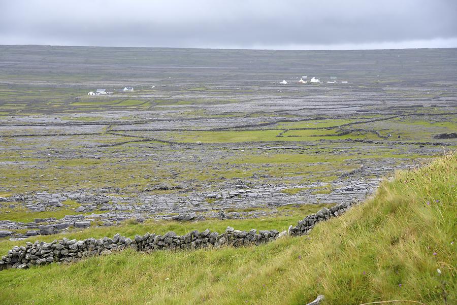 Inishmore Island - Fields