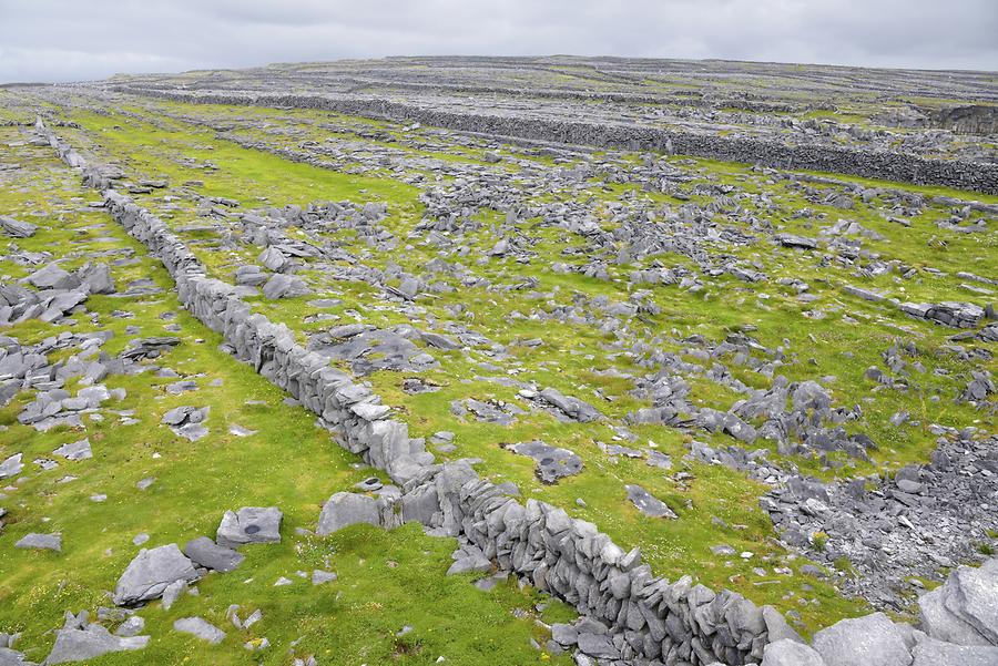 Inishmore Island - Limestone Formations