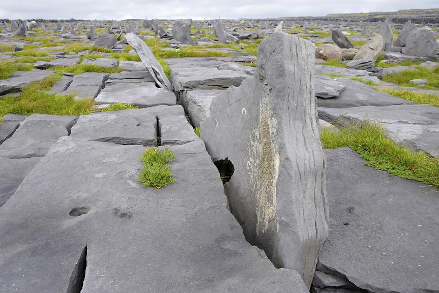 Inishmore Island - Limestone Formations