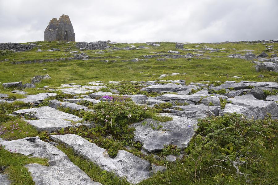 Inishmore Island - Teampall Bheanáin