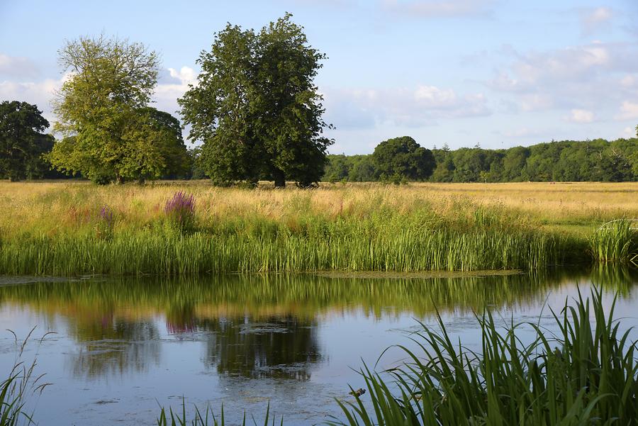 Castletown House - Park