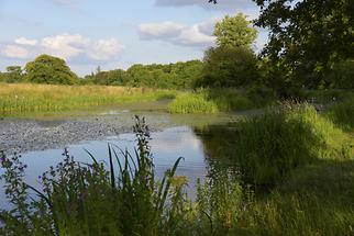 Castletown House - Park (3)