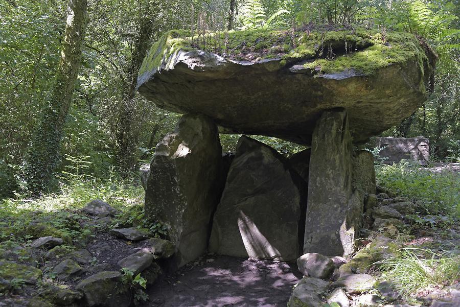 Irish National Heritage Park - Dolmen